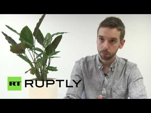 نبات يشحن بطارية هاتف محمول