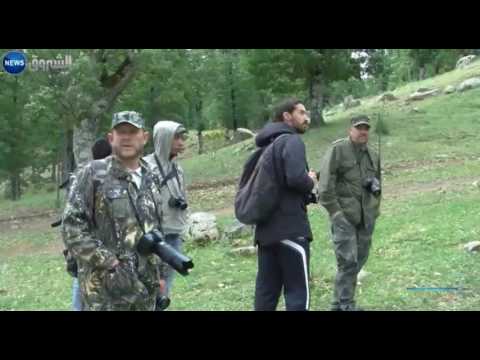 كاسر الجوز الطائر الذي تتهافت عليه عدسات الكاميرات