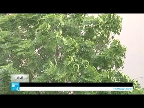 فرقة غاز أويل يؤكد أن موسيقاهم جسر بين الموسيقى الشرقية وموسيقى الغاز