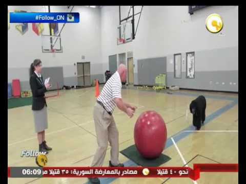 بالفيديو  كلب يدخل موسوعة غينيس للأرقام القياسية