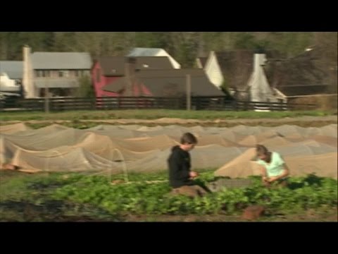 البحث عن قاتل الديناصورات