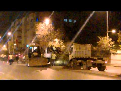 بلدية فاس تقتلع الأشجار في جنح الظلام