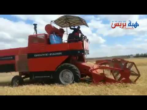 استمرار الحصاد في نهار شهر رمضان