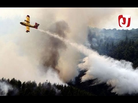 شاهد حريق هائل في غابة قرب المضيق