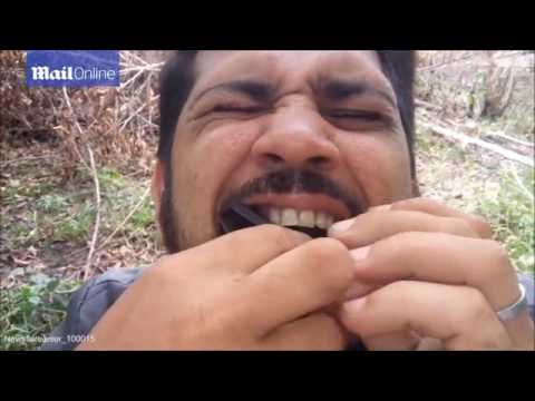 شاهد رجل يضع خفاشين داخل فمه