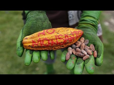 الغليفوسات مُبيدٌ يغذي الجدل في الإتحاد الأوربي