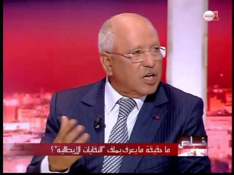 الشعيبي يوضح الفرق بين الطاقات البديلة والطاقة الأحفورية