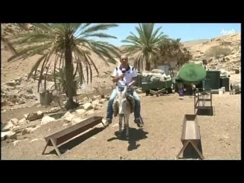 شاهد إسرائيل تحرم الحيوانات من حقها الطبيعي في الحياة