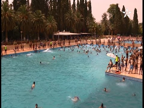 إقبال متزايد على المسبح المحلي في محافظة وجدة