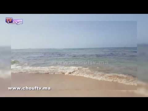 شاهد تعرَّف على هذه المادة السوداء التي ألقيت