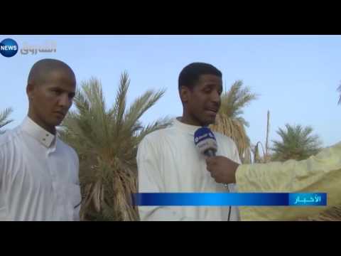 الجفاف يضرب واحات تمنطيط والفلاحون يستغيثون