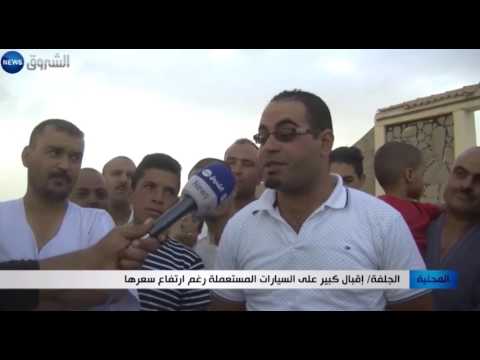 بالفيديو إقبال كبير على السيارات المستعملة في الجلفة