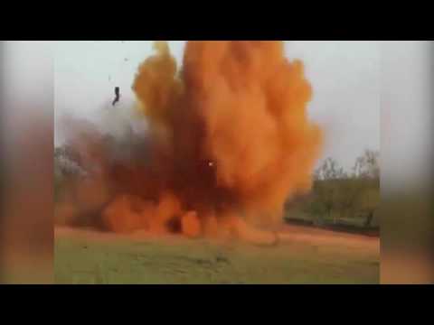 بالفيديو شاهد رجلان يُفجّران مجموعة من الخنازير