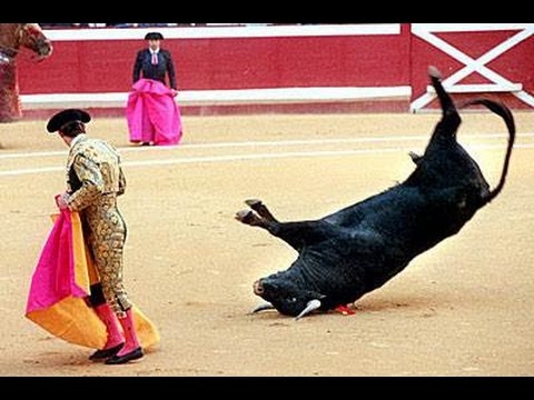 بالفيديو أقوى مقاطع هجوم الحيوانات المفترسة على البشر