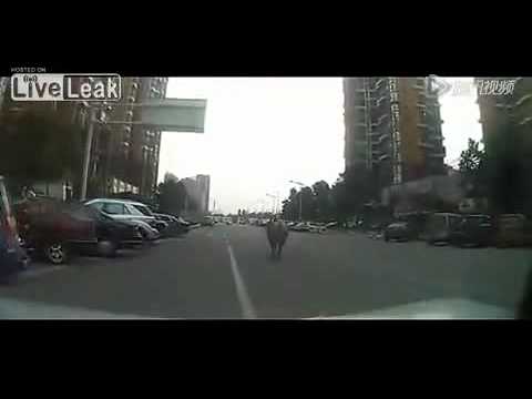 مطاردة مثيرة لثور هائج في الشوارع