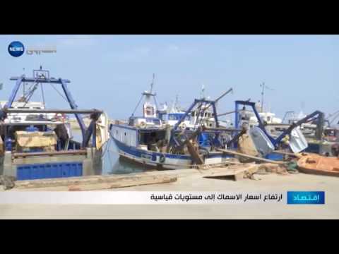 بالفيديو ارتفاع اسعار الأسماك إلى مستويات قياسية في الجزائر