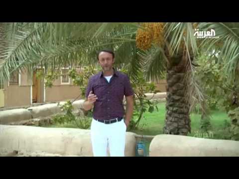 جولة سياحية داخل مدن القضيم