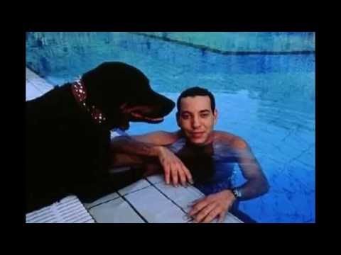 بالفيديو مقطع مصور يرصد مقتطفات سريعة من حياة العاهل المغربي