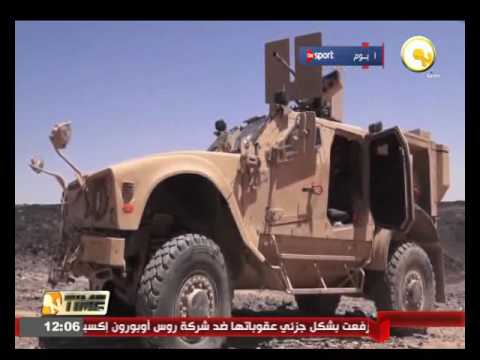 مقتل 11 مسلحًا حوثيًا خلال اشتباكات مع المقاومة في تعز والبيضاء