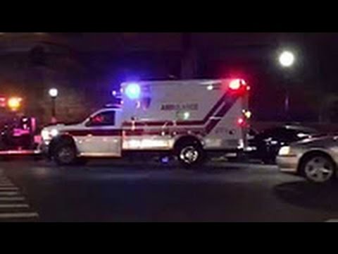 بالفيديو العثور على طرد مشبوه في إليزابيث