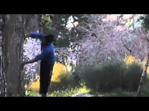 أول ظهور لفريق أبطال فلسطين للباركور