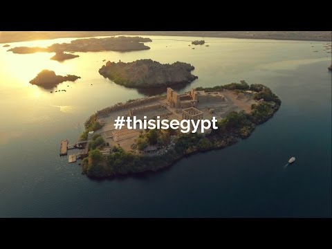 شاهد نجاح فيلم حملة هي دي مصر