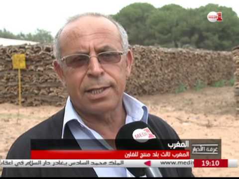 المغرب ثالث بلد منتج للفلين وغابة المعمورة أهم مصادره