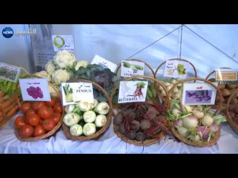 شح الأمطار يخيم على الموسم الزراعي