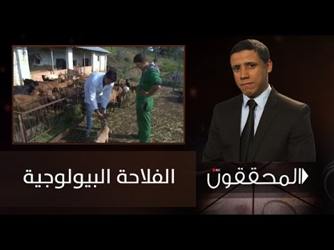 شاهد المحققون يوضحون أهمية الزراعة البيولوجية