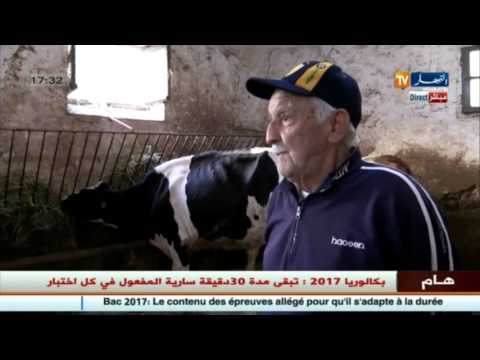 مربي أبقار استثنائي يشرح كيفية حصول كبار المسؤولين على الحليب