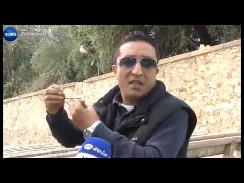 شاهد جريمة في حق الثروة النباتية في جبل الايدوغ