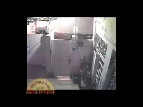 شاهد عراقي يؤدب لصًا حاول سرقة منزله