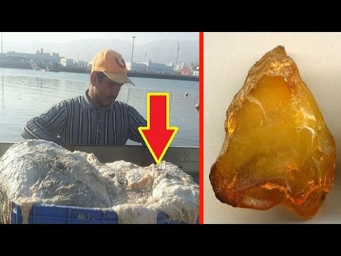 صياد عُماني فقير قادته رائحة كريهة إلى ثروة بالملايين