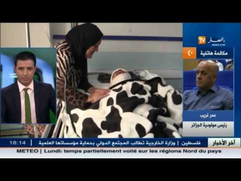 شاهد عمر غريب يتكفل بملف رؤوف شخصيًا