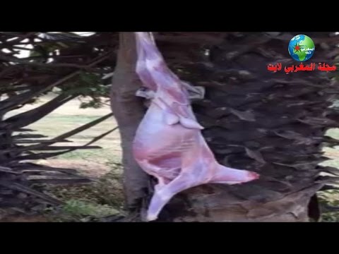 شاهد كيف تم سلخ وتقسيم جدي