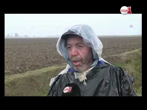 تساقط الأمطار ينعش آمال الفلاحين ويخلف انعكاسات إيجابية