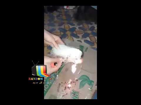 شاهد مغربي يكشف أمرًا خطيرًا عن الشعرية