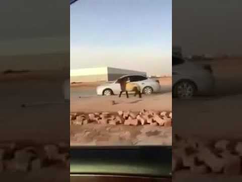 لحظة هروب خروف من صاحبه وسط السيارات