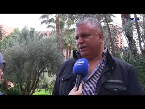 شاهد محمد الخياري يوضح أن عبد الرؤوف هو أب الفنون