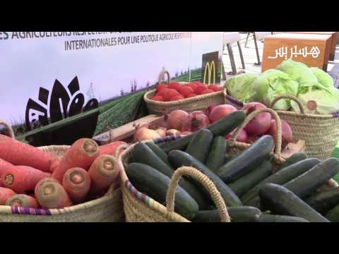 بالفيديو  ماكدونالدز وعلامة حلال