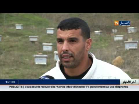 شاهد النشرة الاقتصادية الجزائرية الجمعة 9كانون الأول 2016