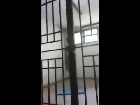 حالة استثنائيَّة داخل مستشفى الأمراض النفسيَّة في مكناس