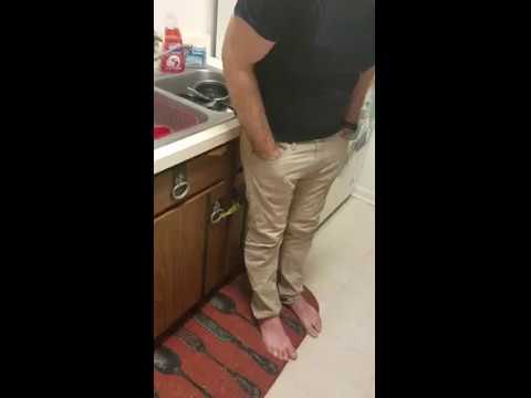 شاهد رجل يتكلم مع قططه فترد عليه