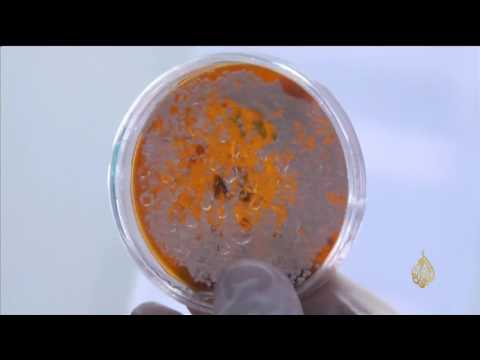 شاهد اكتشاف بكتيريا في كهوف سيبيريا