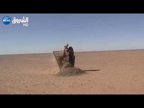 شاهد جمع الحص مهنة شاقة تمارسها النساء