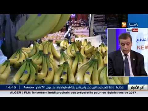 شاهد المستوردون المتسبب الأول في ارتفاع أسعار الموز