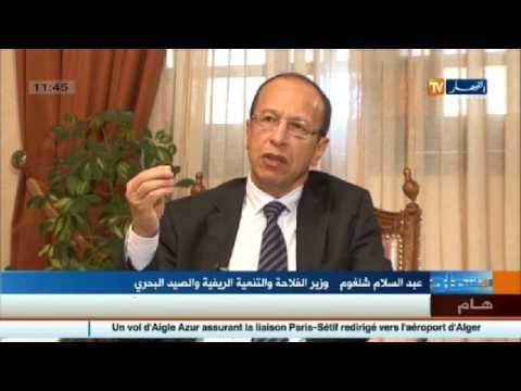 شاهد وزير الزراعة يؤكد أن أسعار الموز في السوق غير معقولة