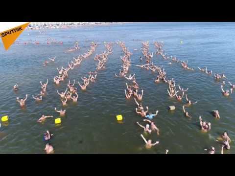 بالفيديو  1941 شخصا يسبحون متشابكي الأيدي