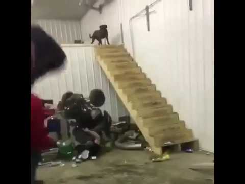 شاهد رجل يتعرض لحادث خلال استعراض مهاراته في القيادة