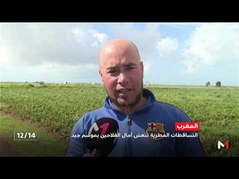 التساقطات المطرية تنعش آمال الفلاحين بموسم جديد